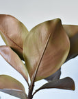 40" Faux Magnolia Leaf Branch