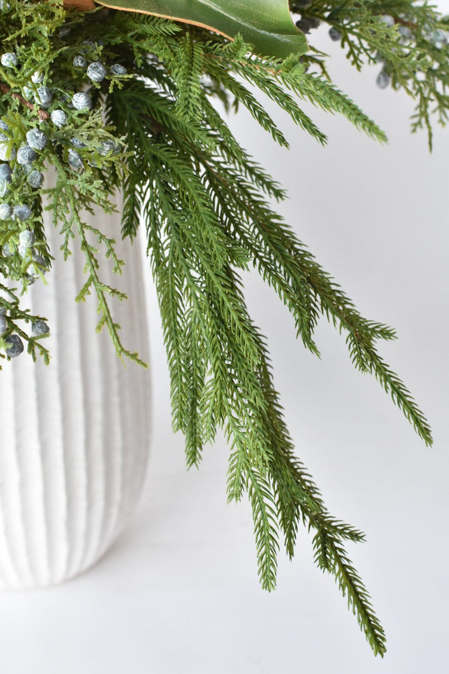 Juniper Norfolk Cedar - Curated Bundle