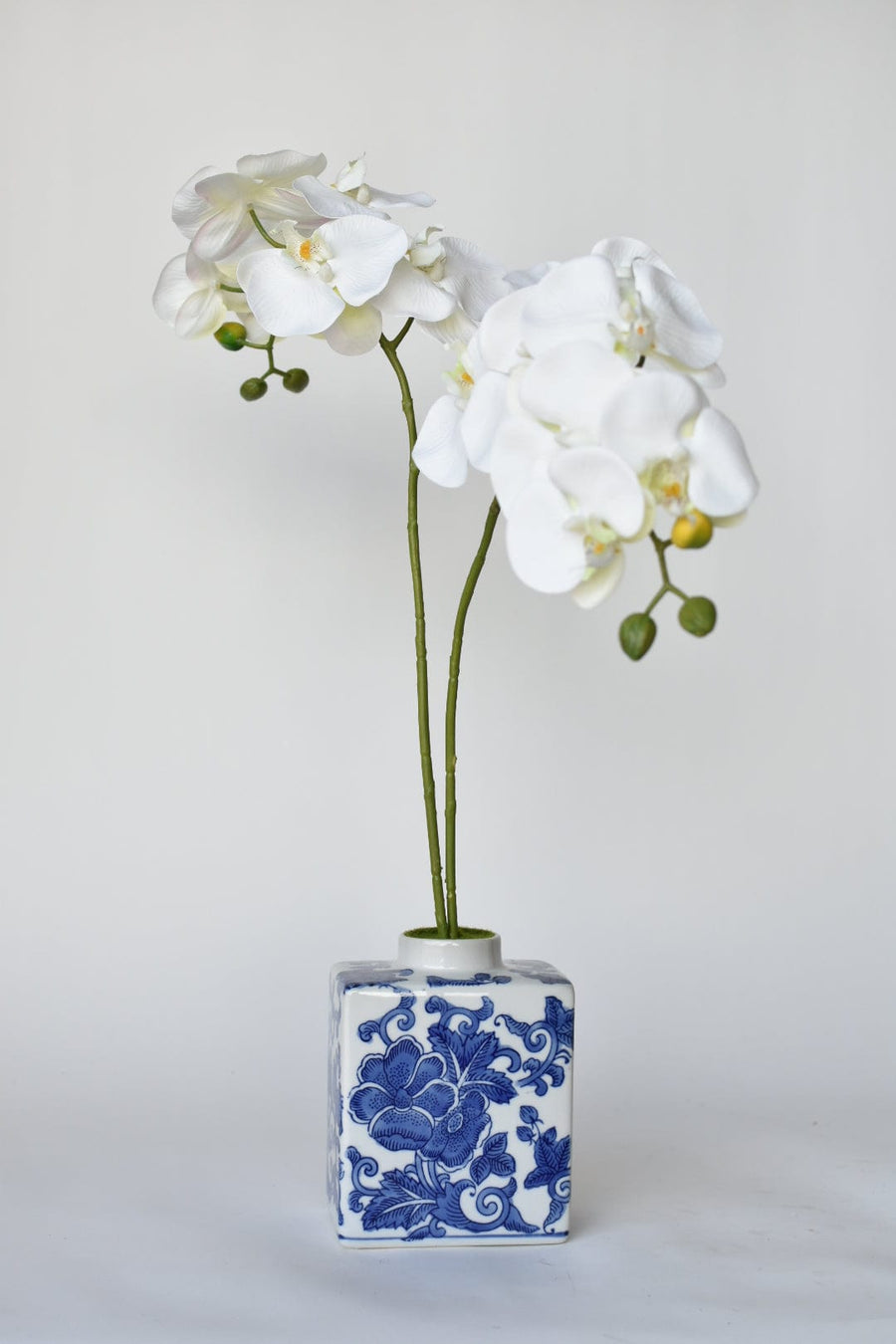 20" Faux Phalaenopsis Orchid in Blue/White Container - 2OR