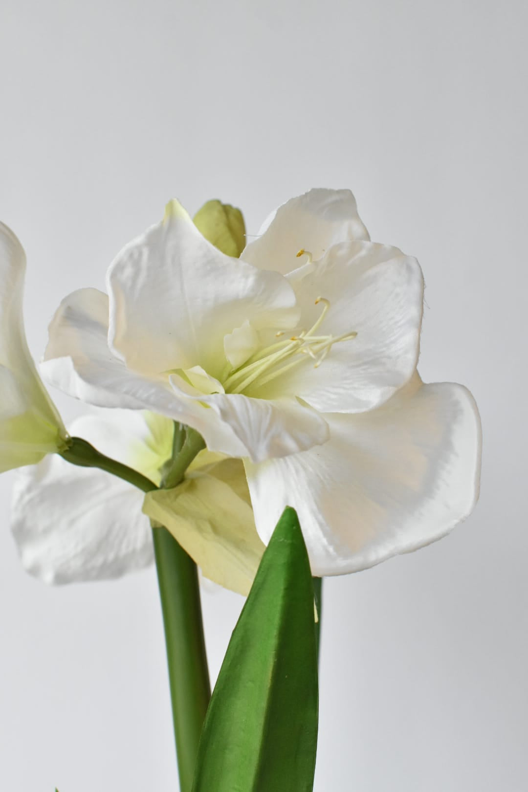 Close view of the hand-finished resin amaryllis bulb