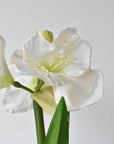 Close view of the hand-finished resin amaryllis bulb