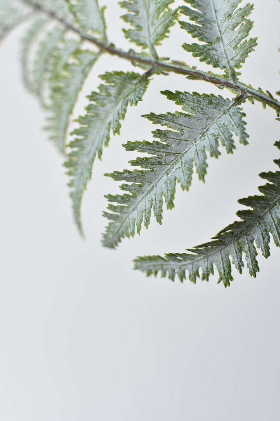 36" Faux Gray Washed Forest Fern Spray