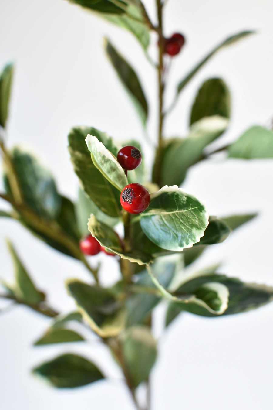 37" Faux Variegated Holly Branch