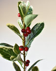 37" Faux Variegated Holly Branch