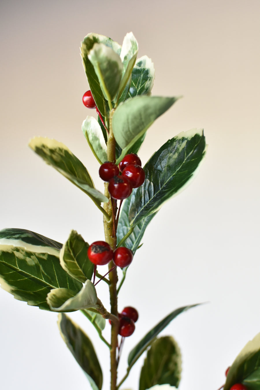 37" Faux Variegated Holly Branch