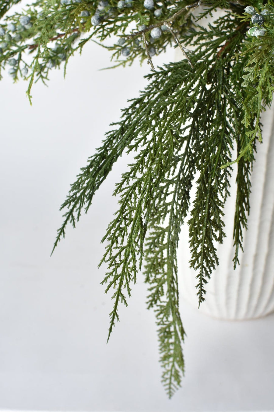 Juniper Norfolk Cedar - Curated Bundle