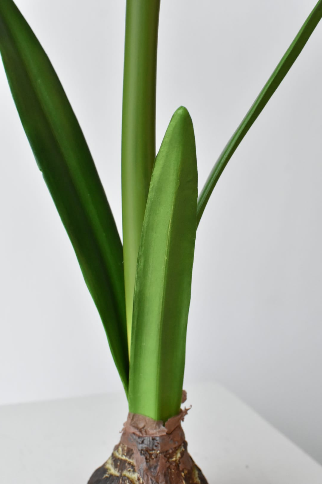Full view of the 21 inch faux standing white amaryllis with bulb