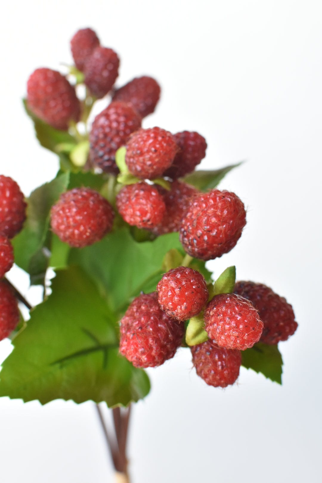 12" Faux Raspberry Stem Bundle