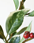 37" Faux Variegated Holly Branch