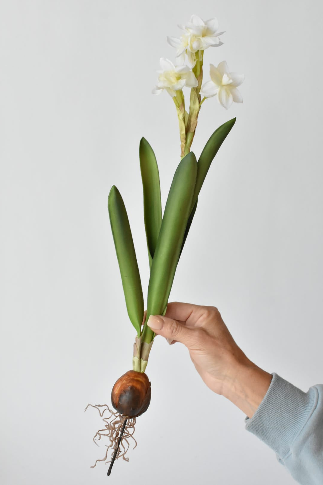 Faux paperwhite stem with a hand-finished bulb, 17.5 inches tall
