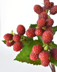 12" Faux Raspberry Stem Bundle