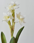 Clusters of small white paperwhite blooms on the faux stem