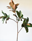 40" Faux Magnolia Leaf Branch