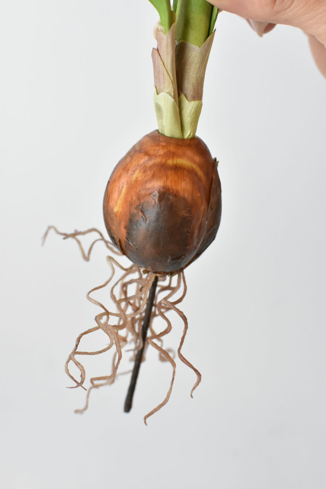 Close view of the hand-finished foam bulb and molded roots