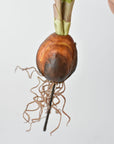 Close view of the hand-finished foam bulb and molded roots
