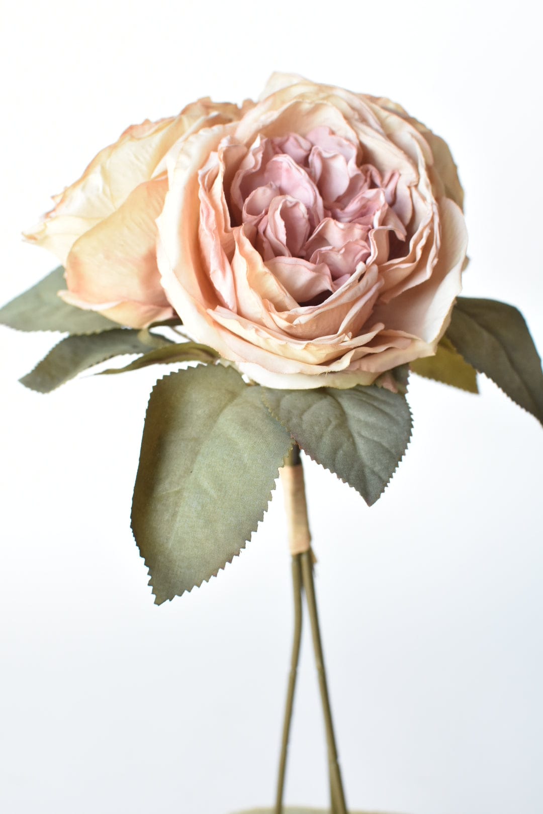 12.5" Faux Dried Cabbage Rose Tea Stained Pink