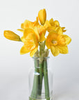 10" Faux Daffodil in Acrylic Water