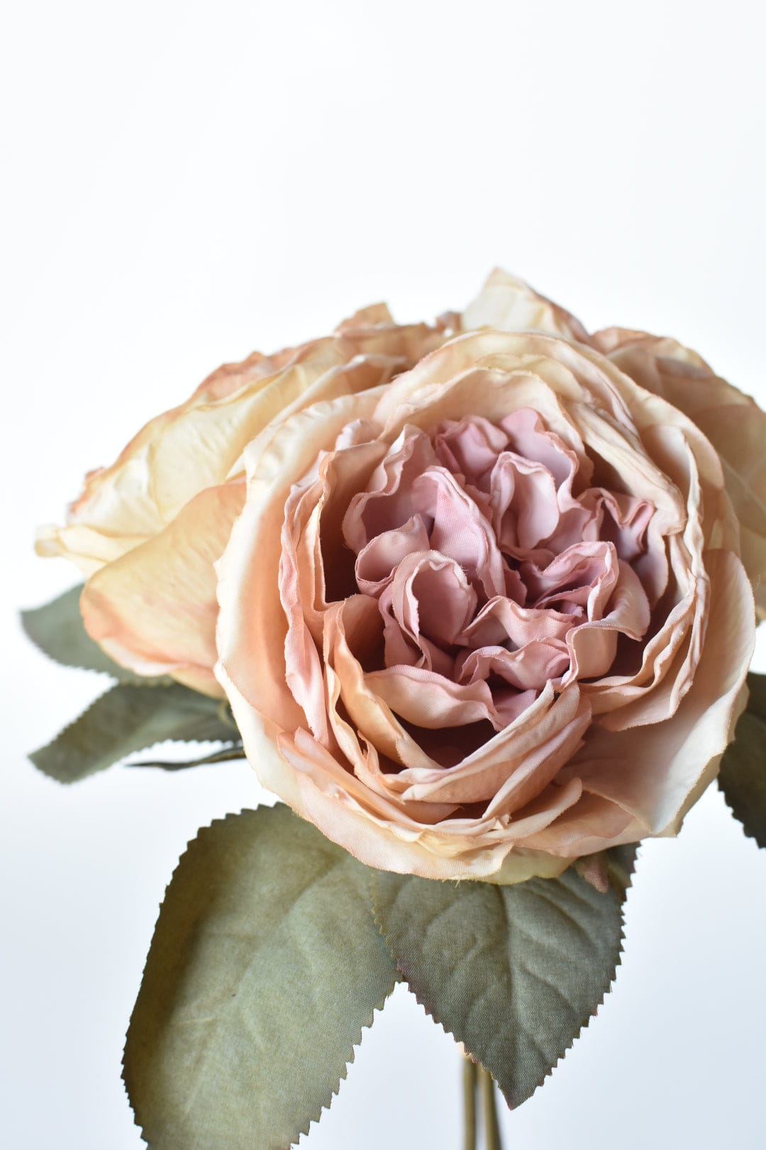 12.5" Faux Dried Cabbage Rose Tea Stained Pink