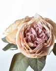 12.5" Faux Dried Cabbage Rose Tea Stained Pink