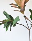 40" Faux Magnolia Leaf Branch