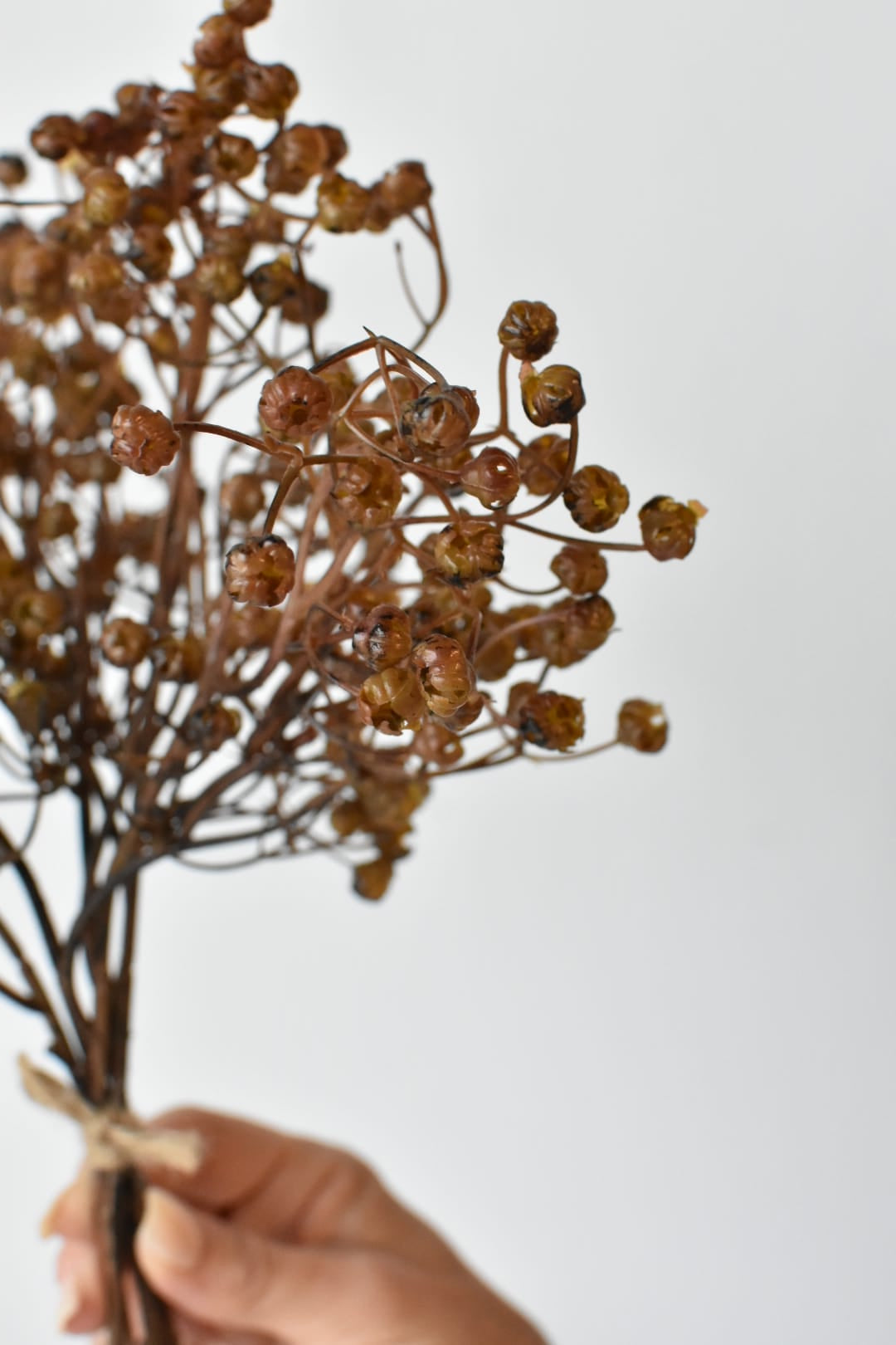 Faux dried brown baby's breath bundle held in hand, full length shown