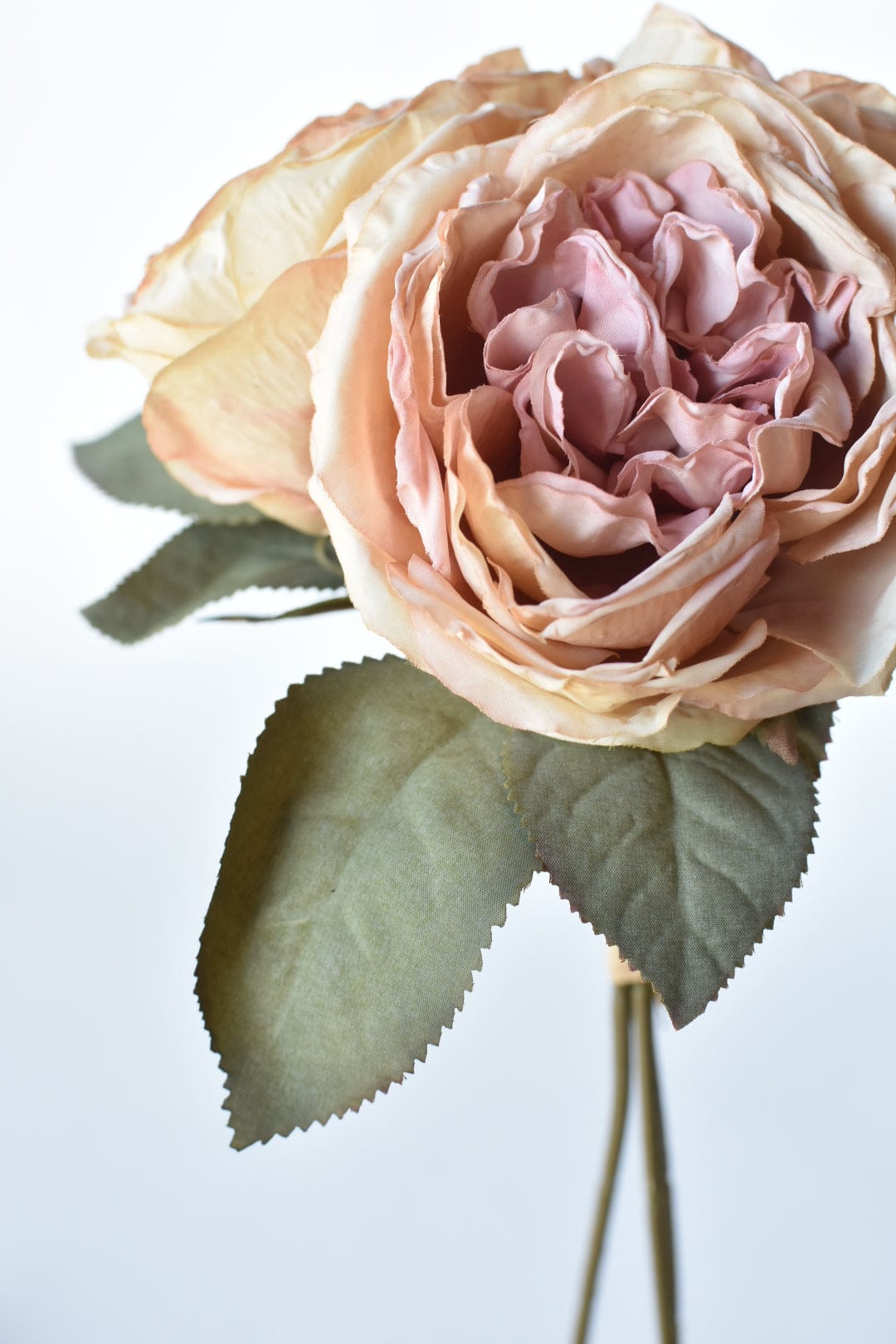 12.5" Faux Dried Cabbage Rose Tea Stained Pink