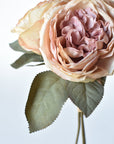 12.5" Faux Dried Cabbage Rose Tea Stained Pink