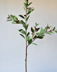 37" Faux Variegated Holly Branch
