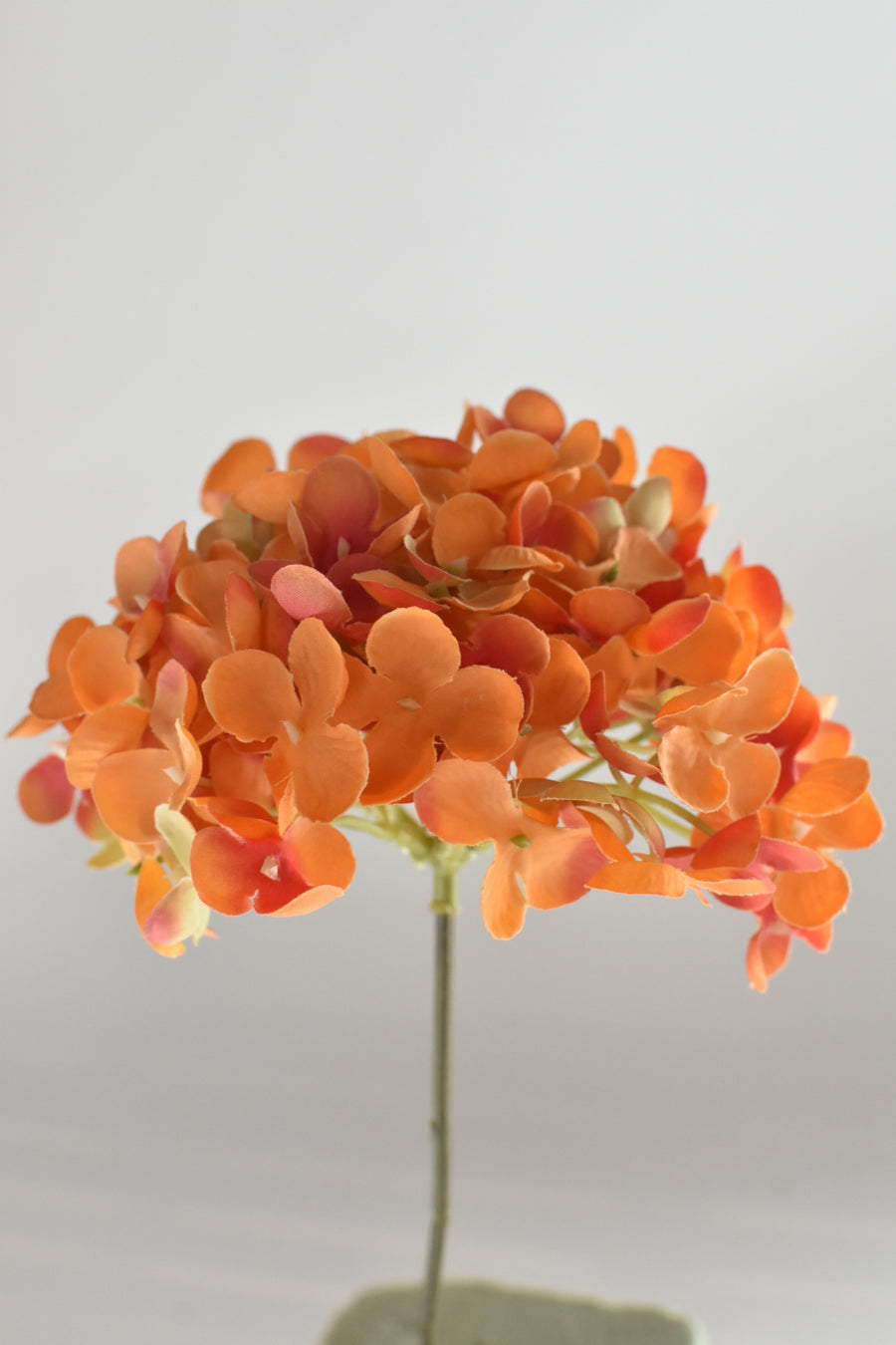 $5 Fall Hydrangea Head Filler Stem