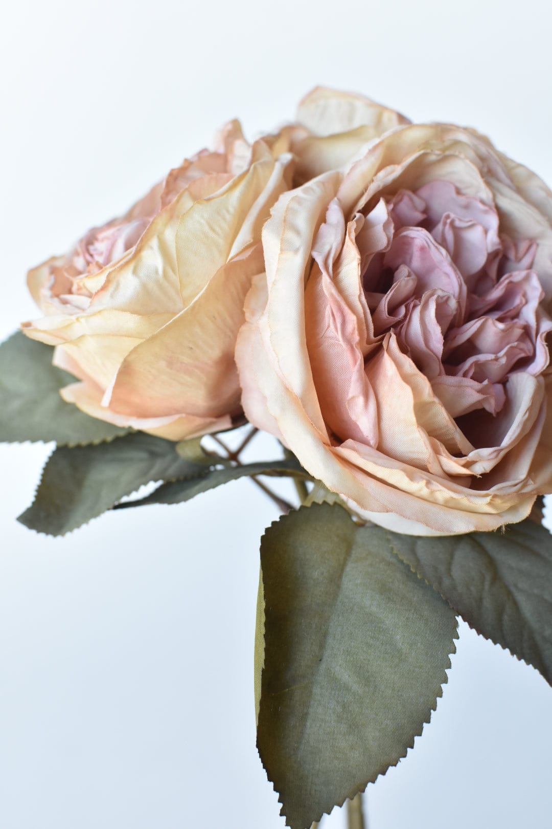 12.5" Faux Dried Cabbage Rose Tea Stained Pink