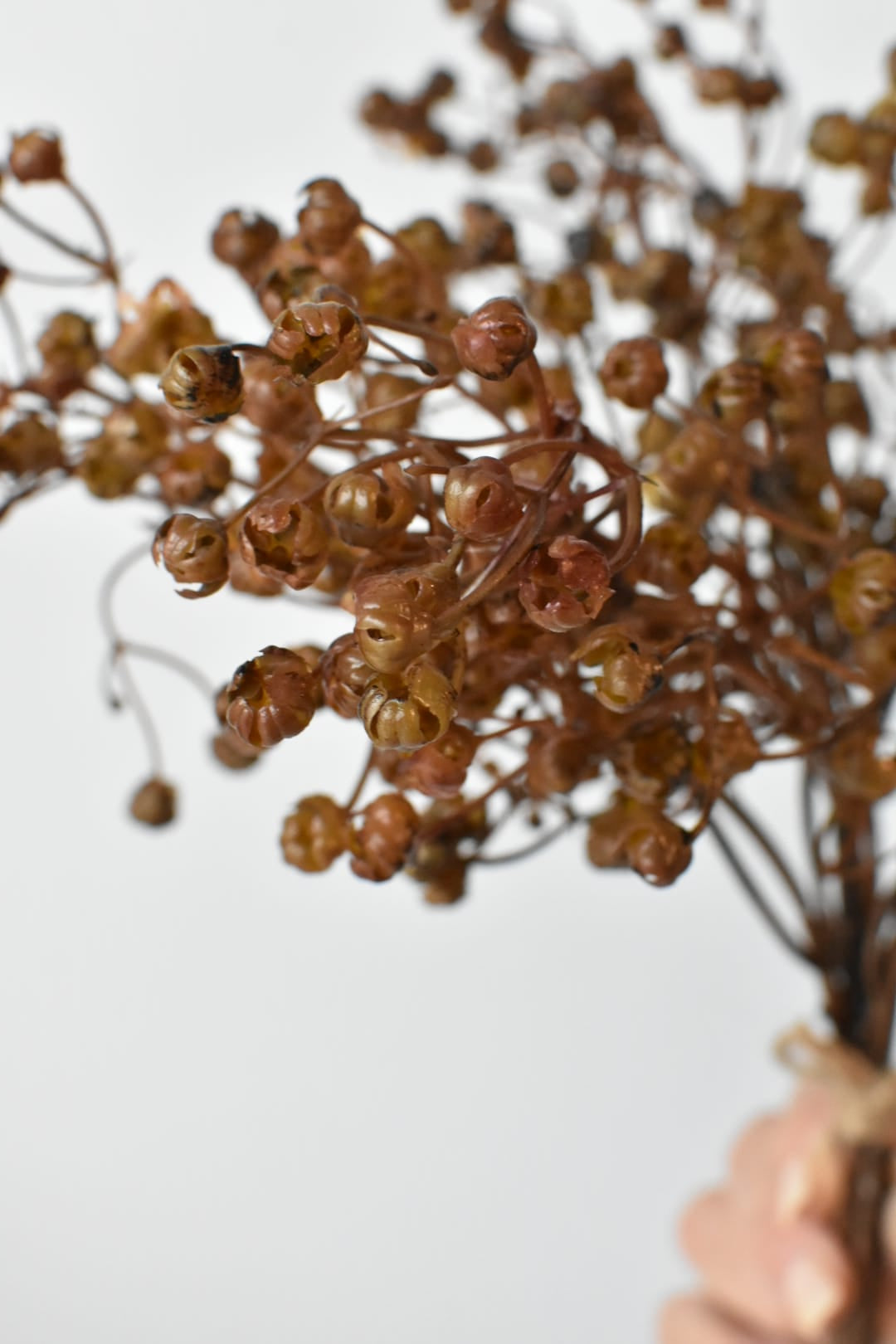 Faux brown gypsophila bundle held up showing its loose, airy shape