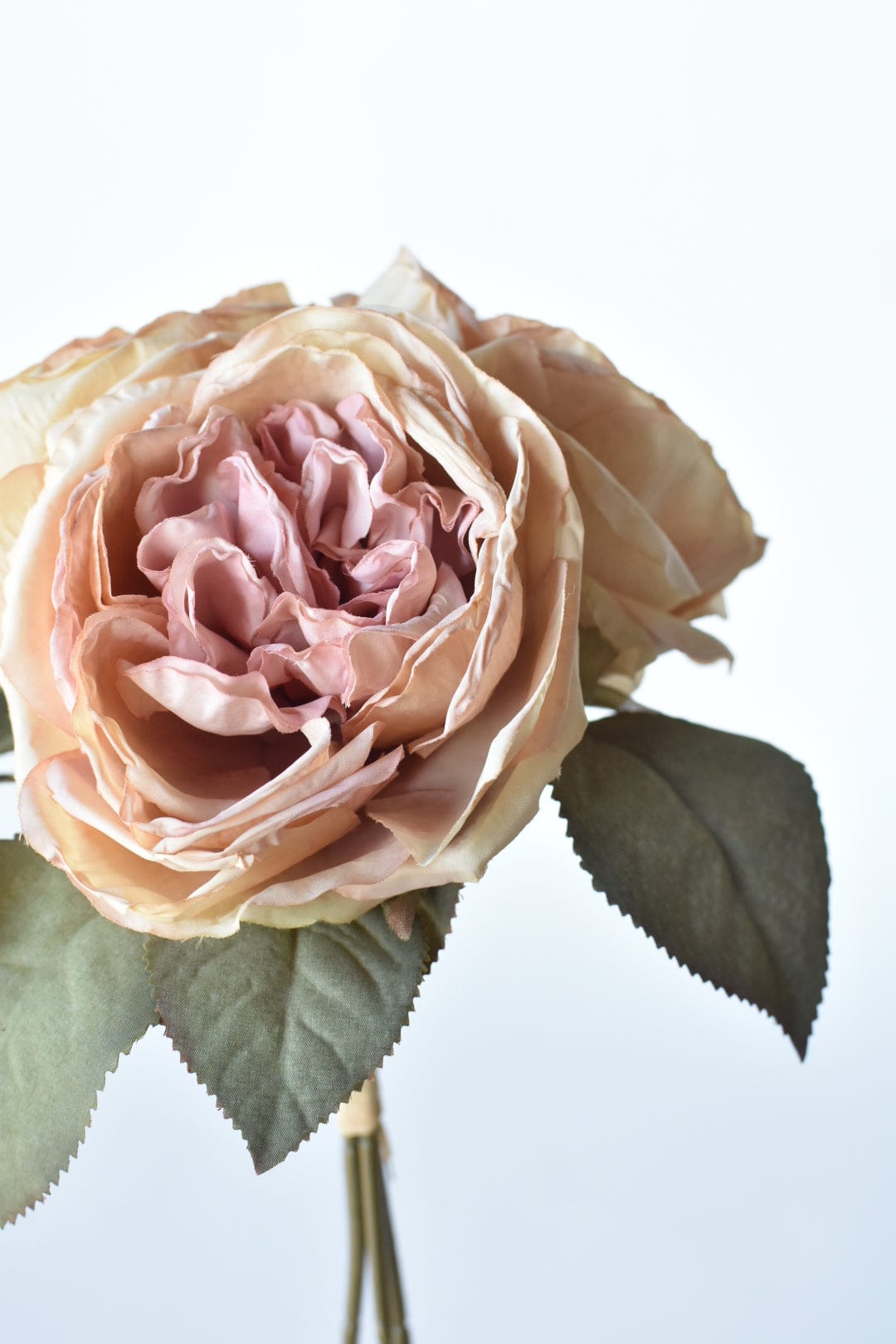12.5" Faux Dried Cabbage Rose Tea Stained Pink