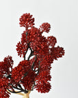 Single faux red sedum bundle of 3 stems tied with raffia