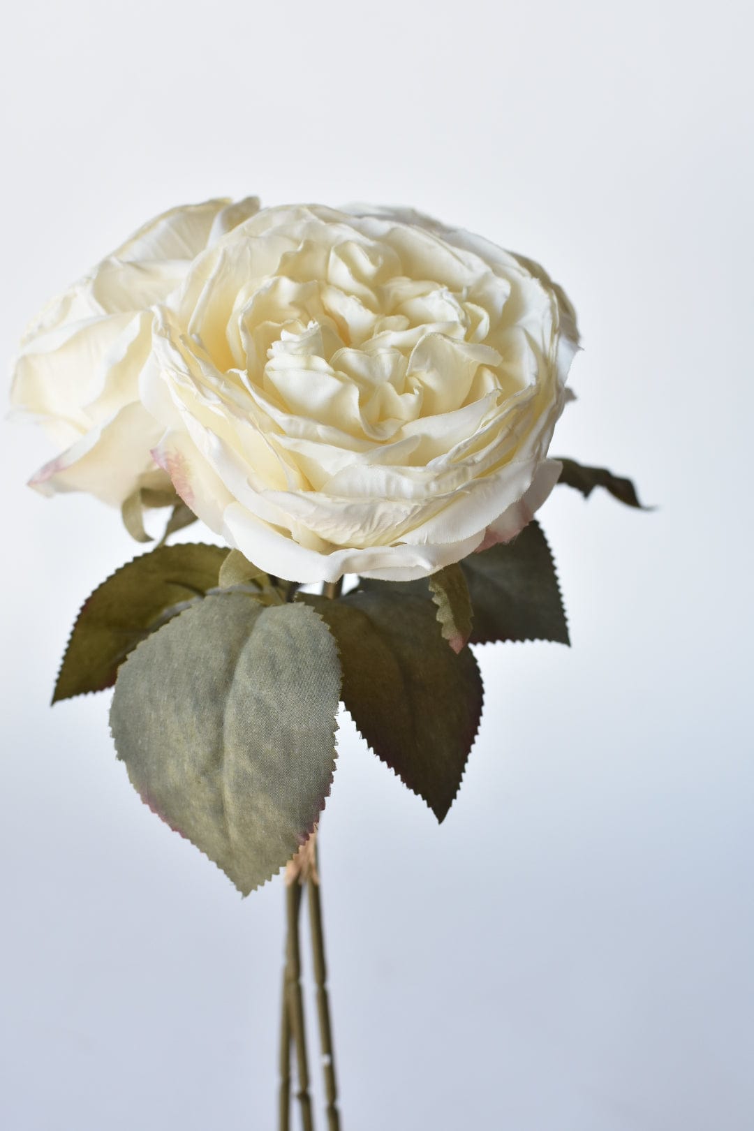 12.5" Faux Dried Cabbage Rose Bundle