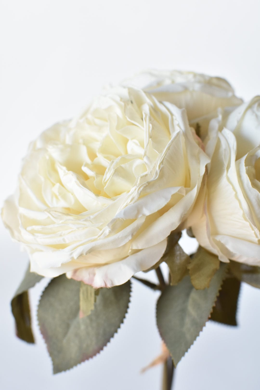 12.5" Faux Dried Cabbage Rose Bundle