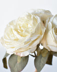 12.5" Faux Dried Cabbage Rose Bundle