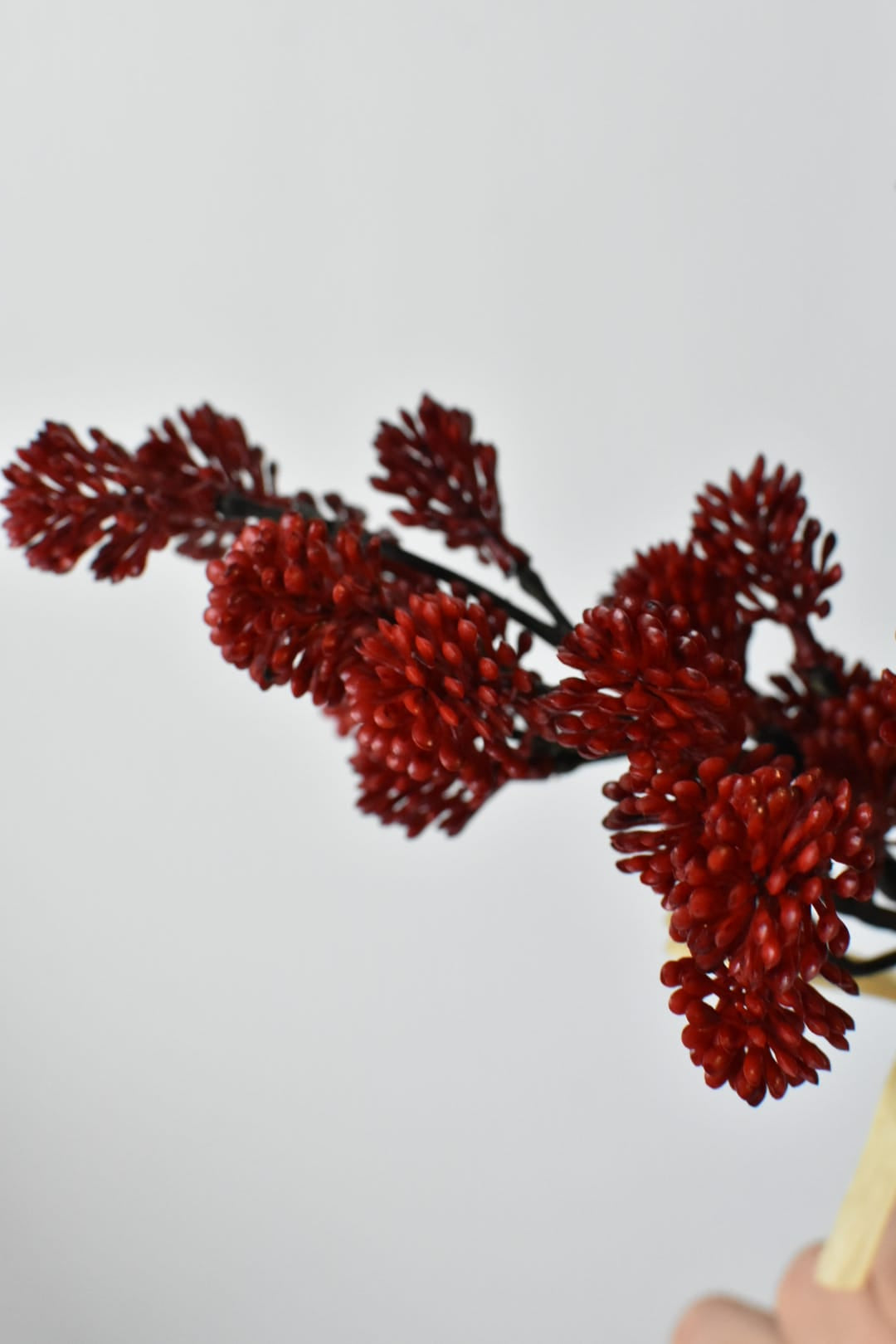 Faux red sedum bundle showing round, soft-edged berries clustered along the stem