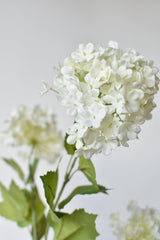 34 inch faux white snowball hydrangea stem with five white bloom clusters