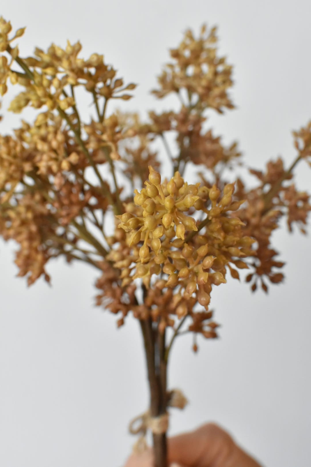 Faux beige sedum bundle held in hand showing the rope-tied base