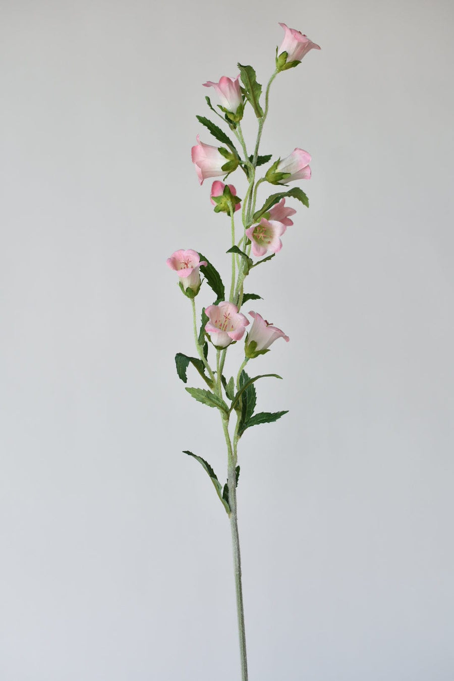 34" Faux Pink Campanula Flower Stem - Bellflower