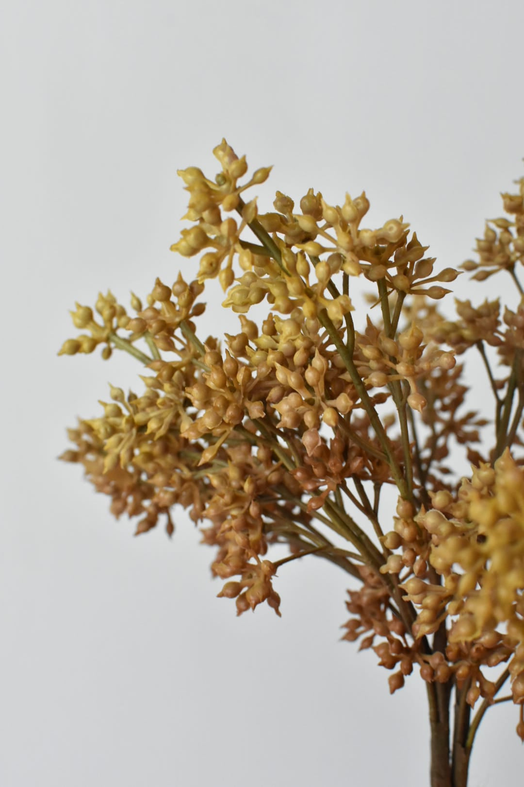 Close view of small beige sedum berries on a hand-held faux bundle