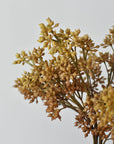 Close view of small beige sedum berries on a hand-held faux bundle
