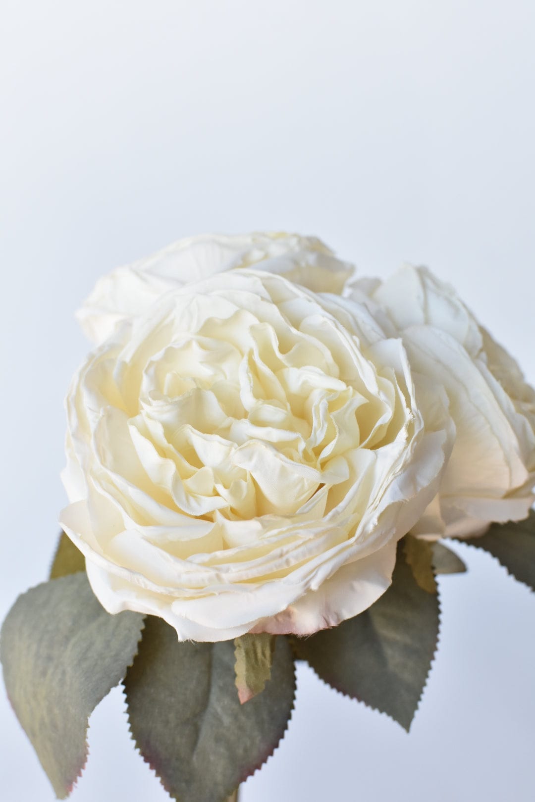 12.5" Faux Dried Cabbage Rose Bundle