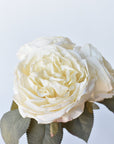 12.5" Faux Dried Cabbage Rose Bundle