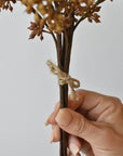 Faux beige sedum bundle in hand showing gradated color across the berries
