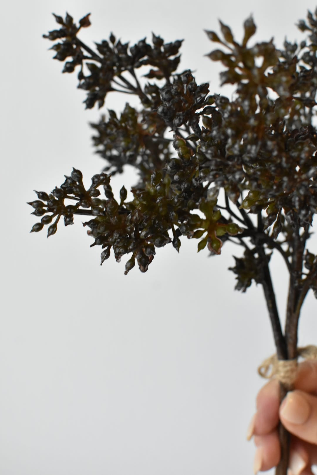 Faux dark brown sedum bundle held in hand showing the tied base