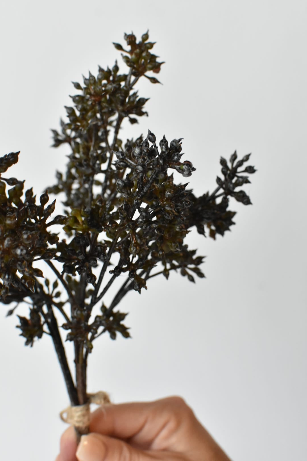 Close view of dark brown and green berries on a faux sedum stem bundle