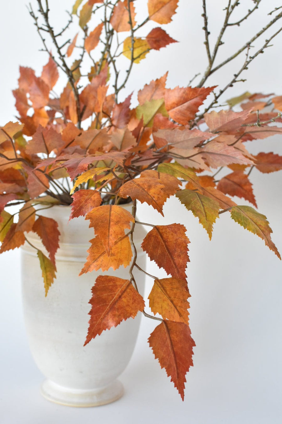 Red Orange Birch with Twigs - Curated Bundle