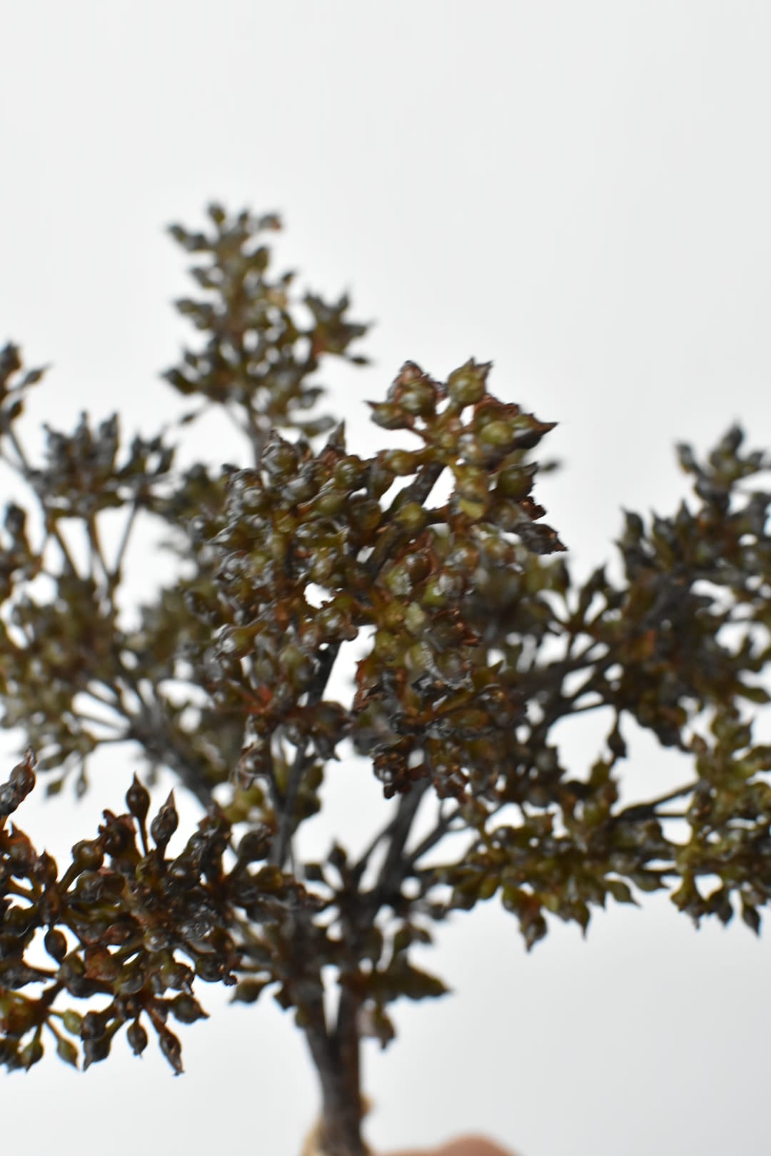 Faux sedum bundle in hand showing brown shifting into green across the berries
