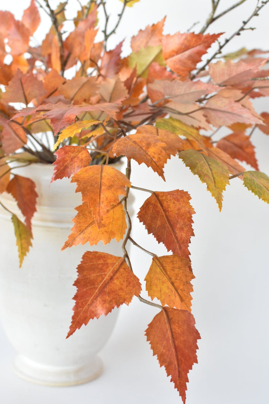 Red Orange Birch with Twigs - Curated Bundle